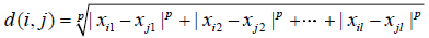 minkowski distance equation